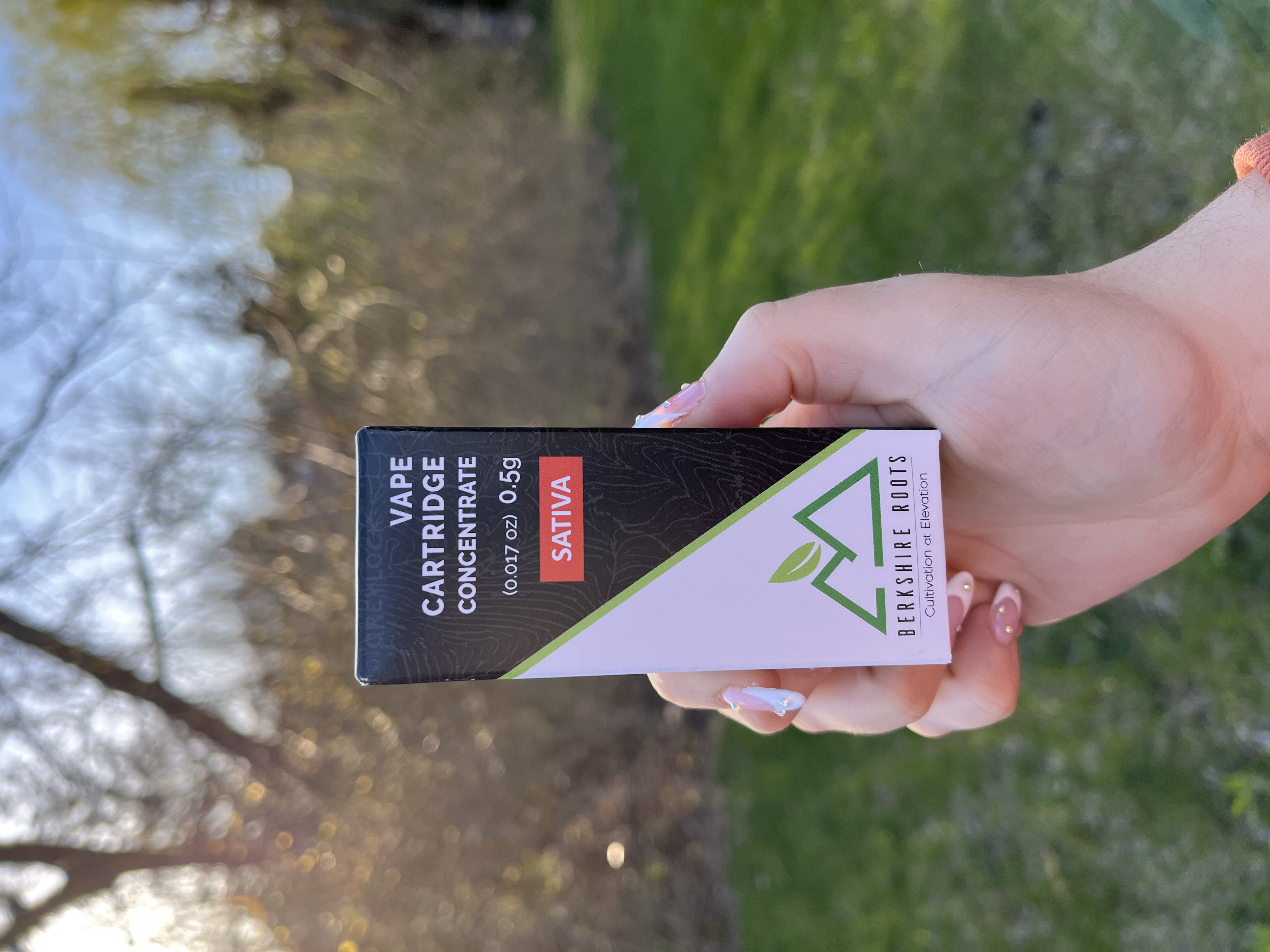 Berkshire Roots (ADULT USE) | Dispensary Menu, Reviews & Photos