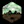 Blazen Cannabis