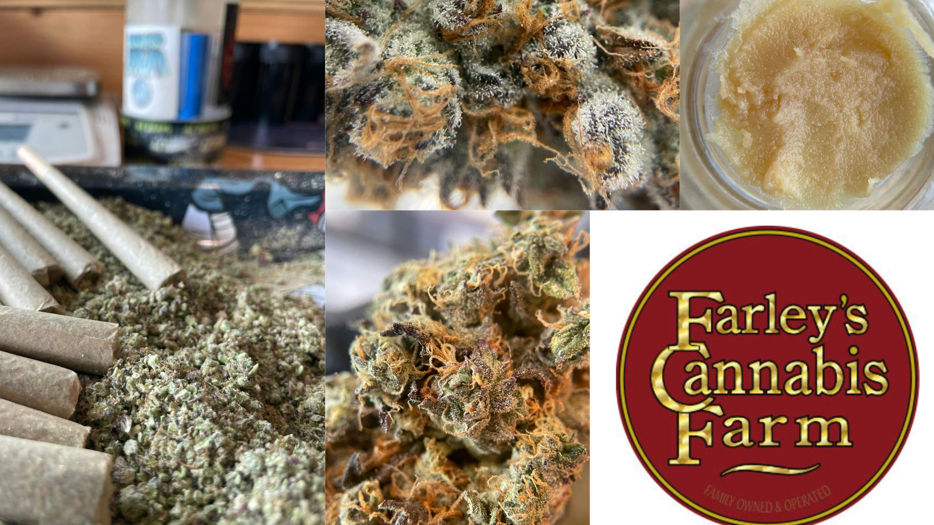 Farley’s Cannabis Farm Woolwich, ME Dispensary Leafly