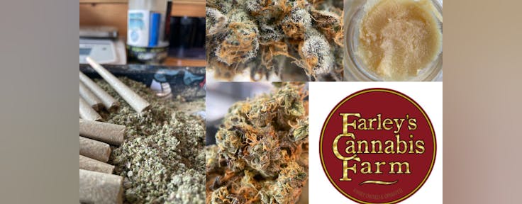 Farley’s Cannabis Farm