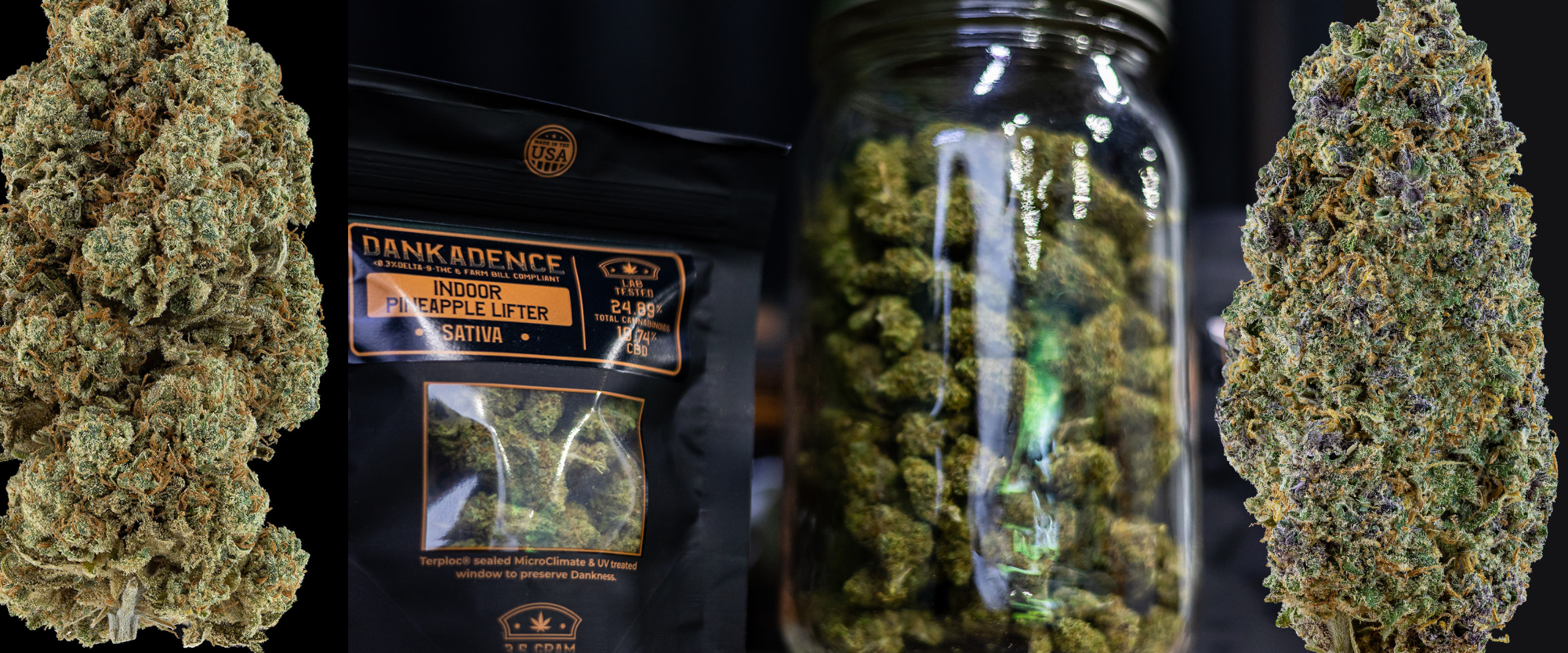 Decatur Coastal Green Wellness — Dispensaries in Decatur, GA
