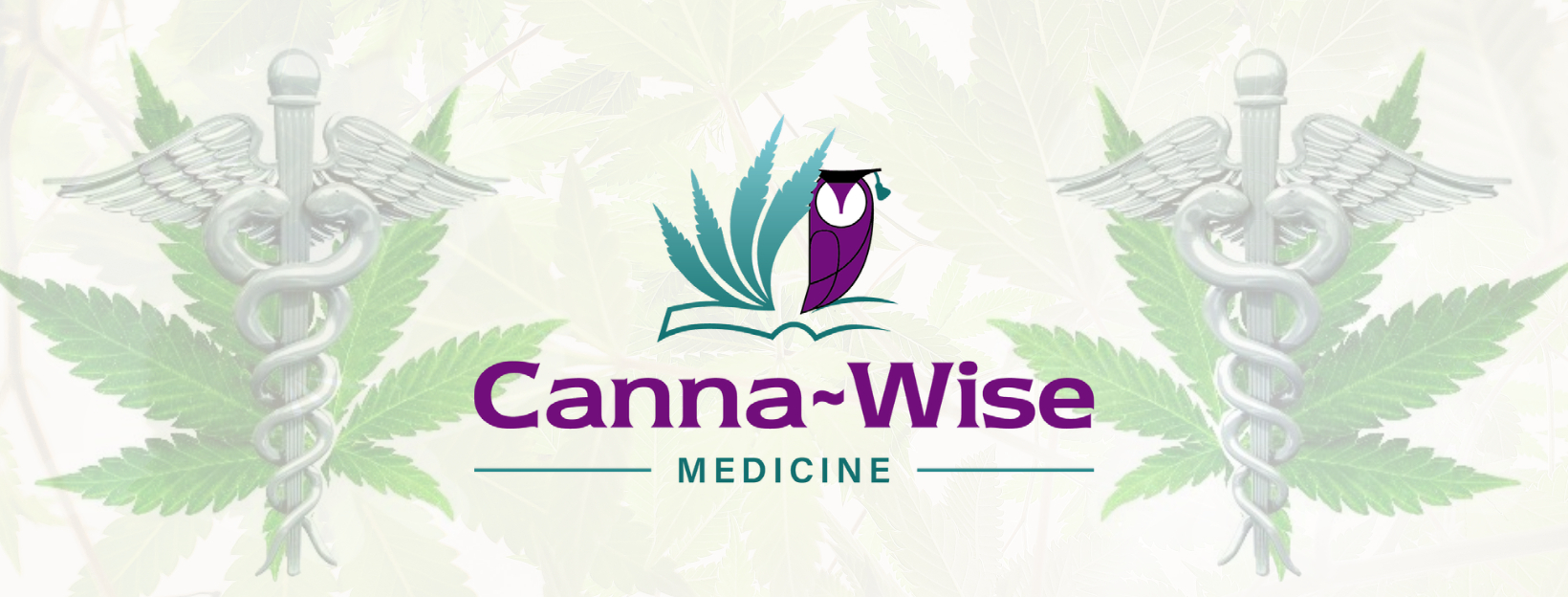 Canna~Wise Medicine — Dispensaries in Auburn, MA