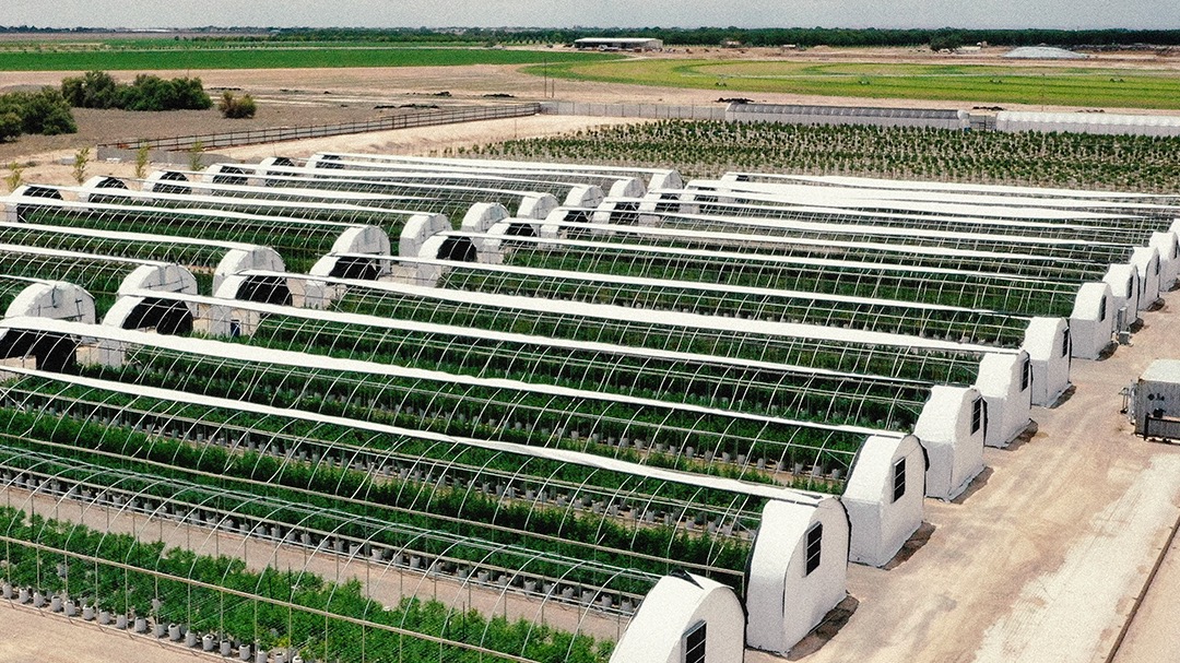 Pecos Valley Production - Portales — Dispensaries in Portales, NM