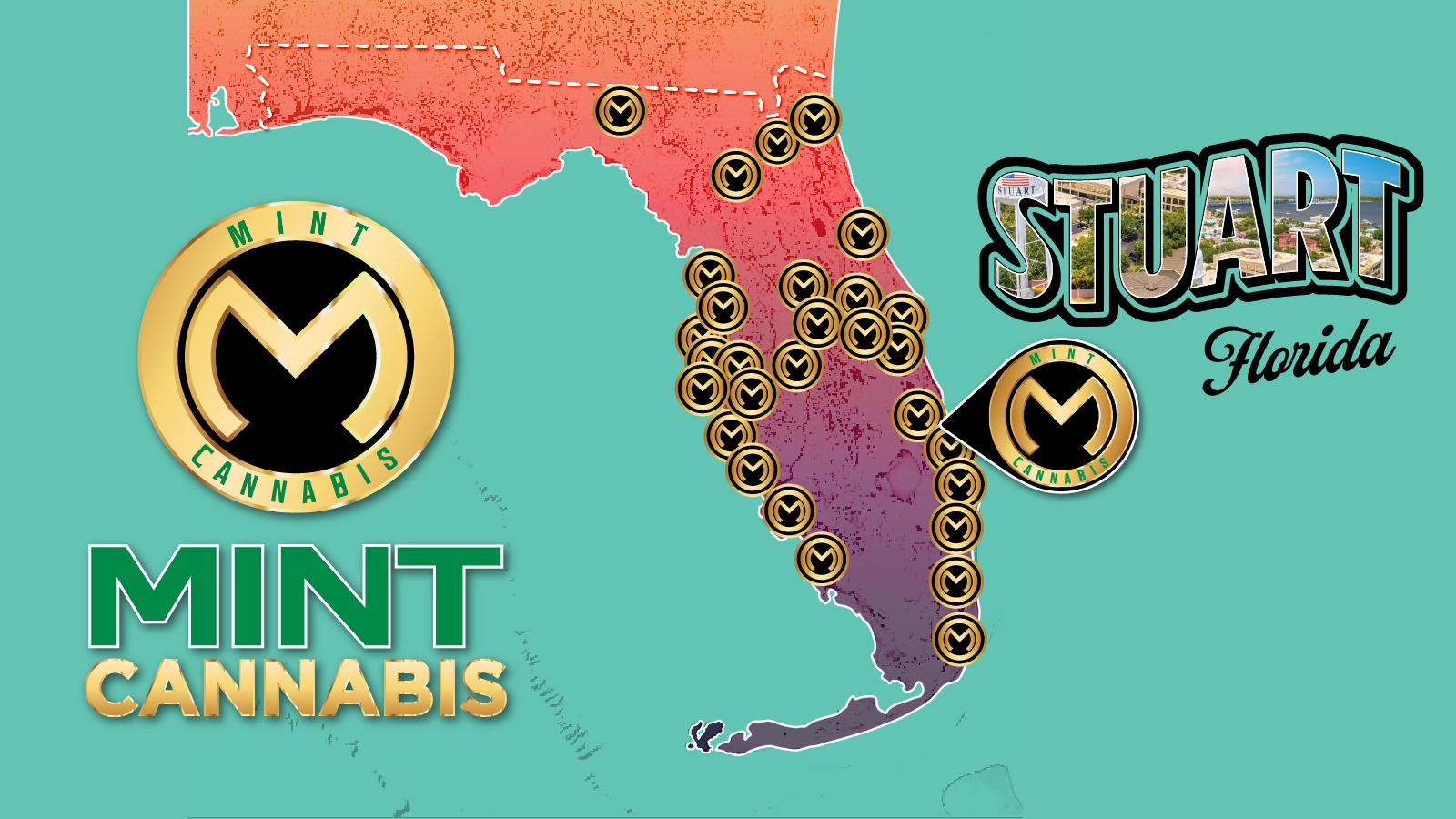 The Mint Cannabis - Stuart