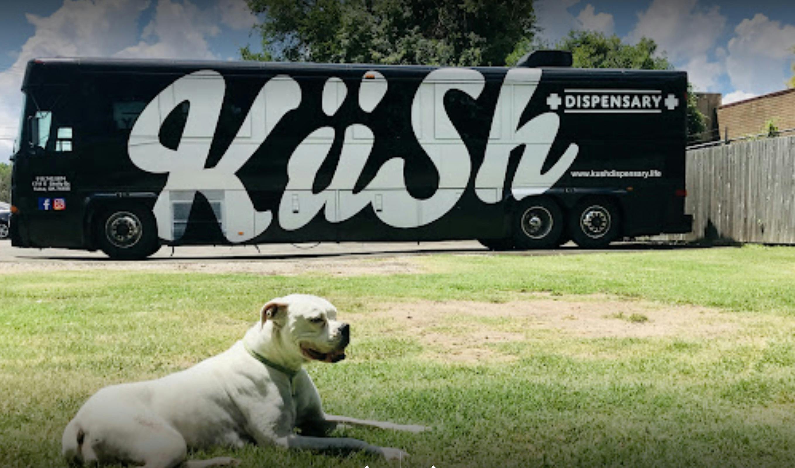 Kush Dispensary Tulsa Tulsa, OK Dispensary Leafly