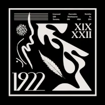 1922 - Old Town Toronto-cover-photo