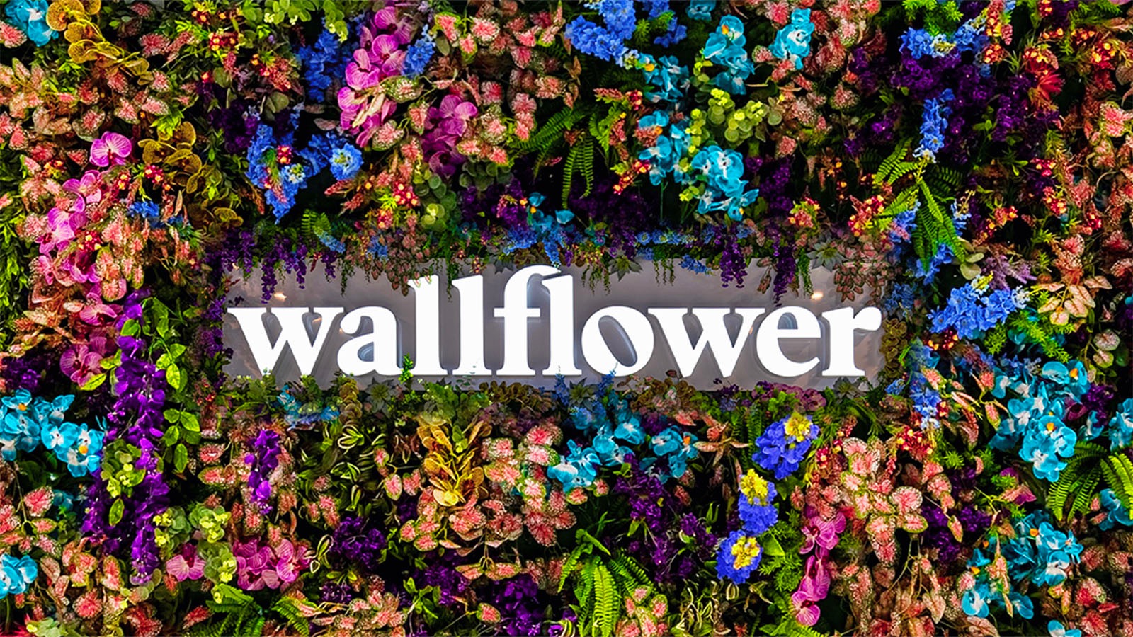Wallflower Cannabis House - Blue Diamond
