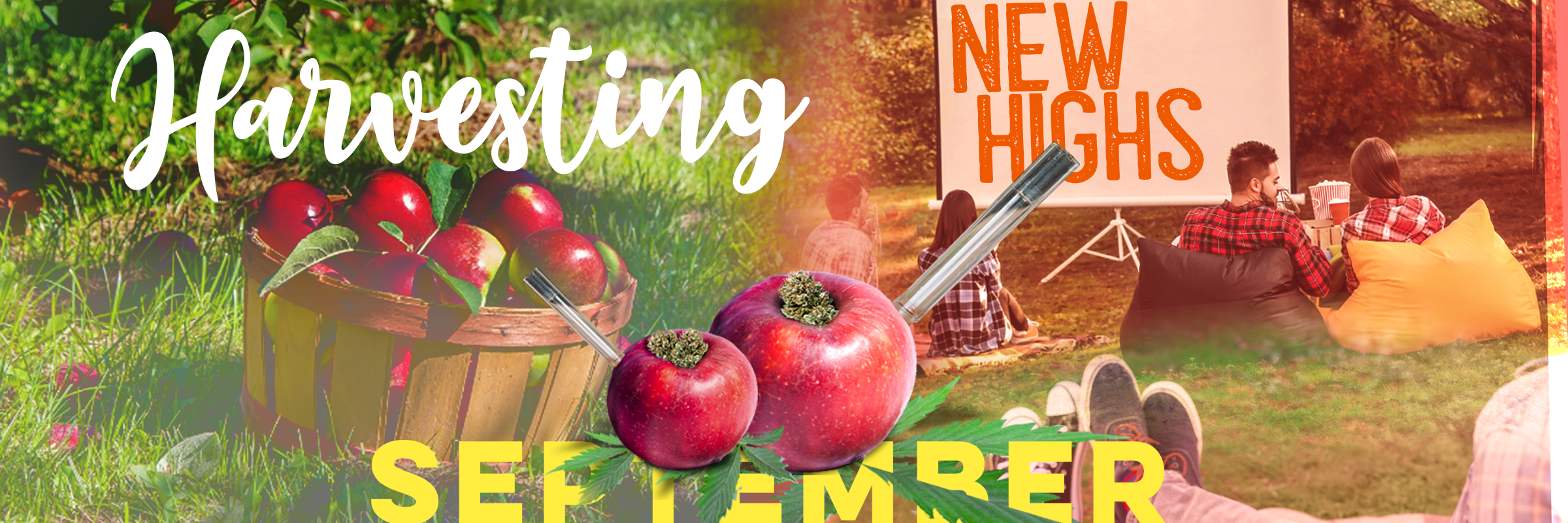 Cape Ann Cannabis Rowley, MA Dispensary Leafly