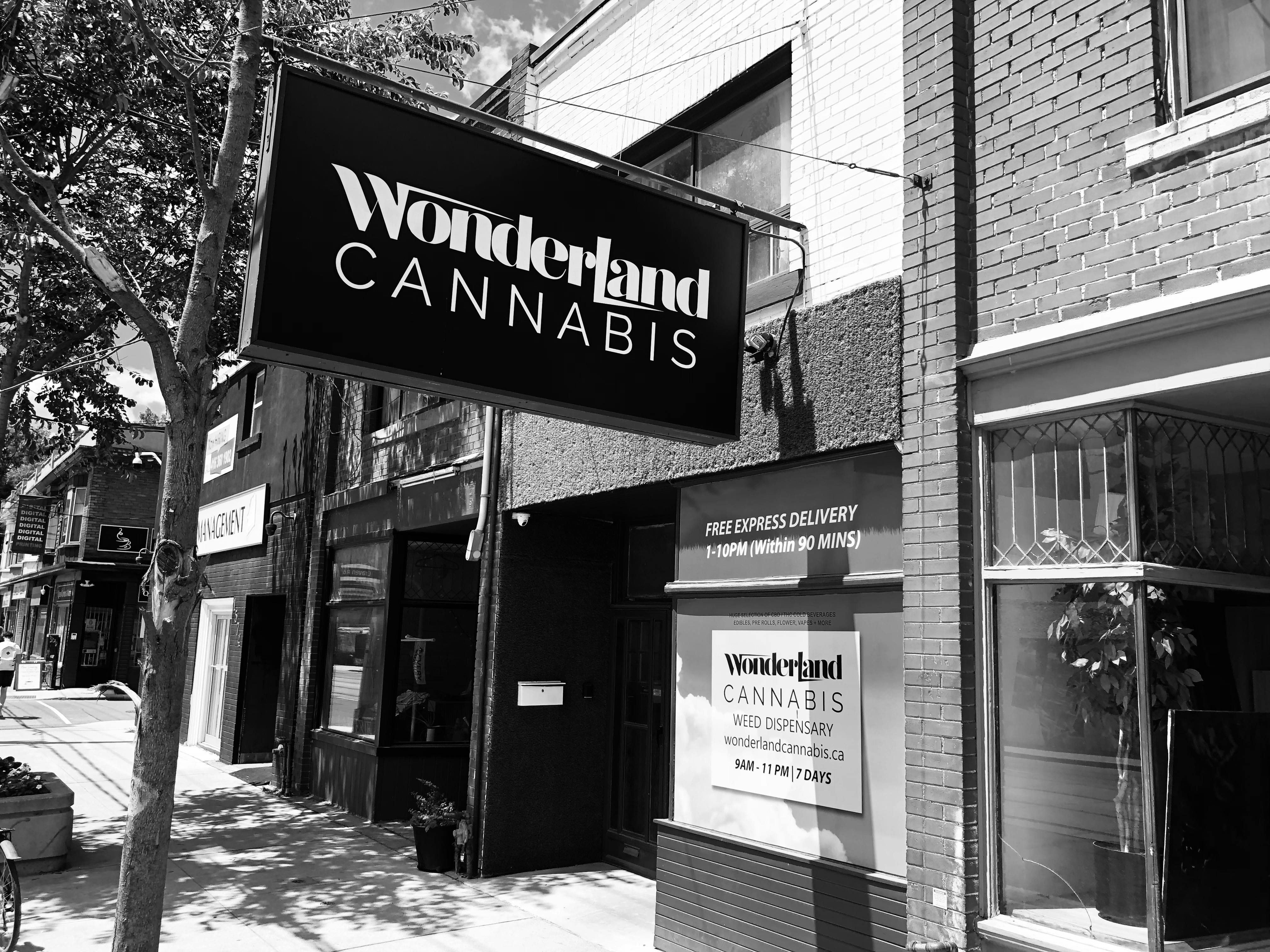 Wonderland Cannabis The Beaches Queen St E Toronto, ON Dispensary
