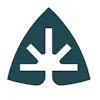 Kaleafa Cannabis Co - Glisan