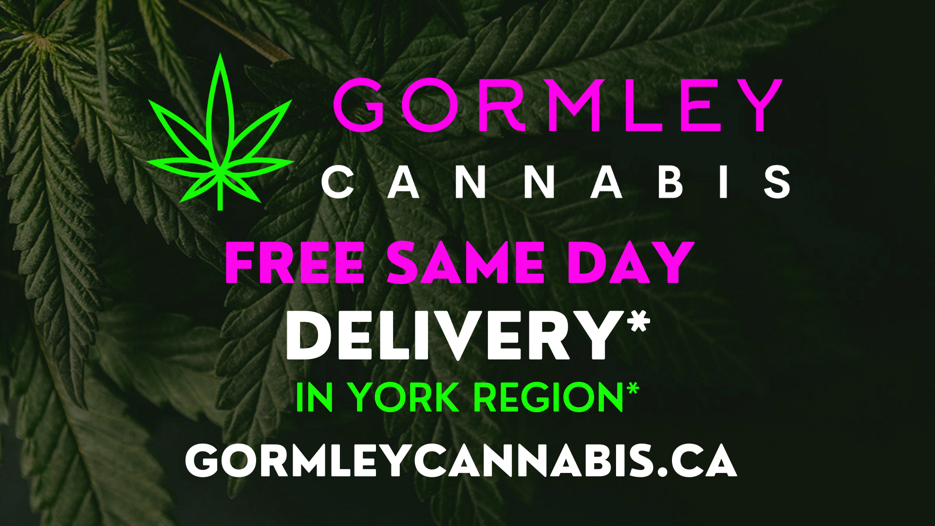Gormley Cannabis