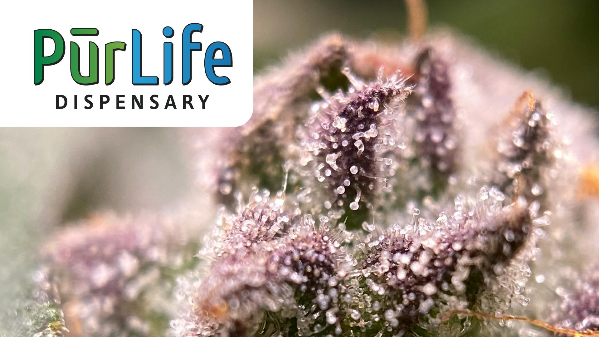 PurLife - Las Cruces | Las Cruces, NM Dispensary | Leafly