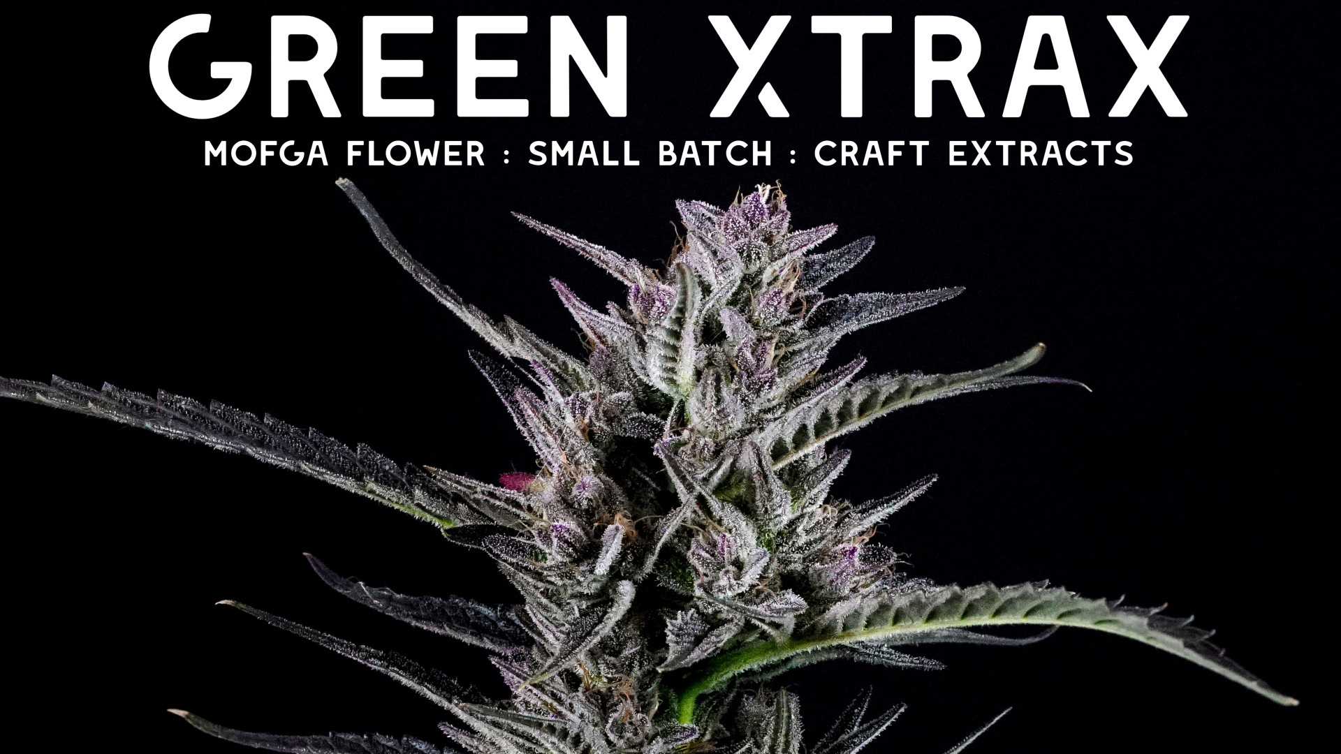 Green Xtrax - Limerick