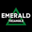 Logo for Emerald Triangle Dispensary - Albany