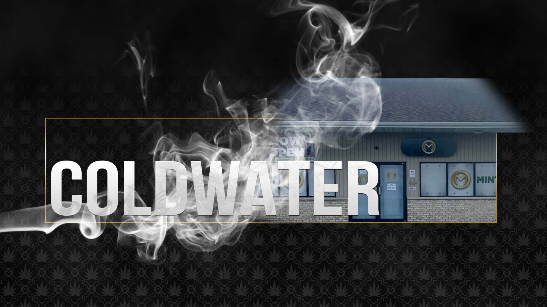 The Mint Cannabis Coldwater (Rec) Dispensary Menu, Reviews & Photos