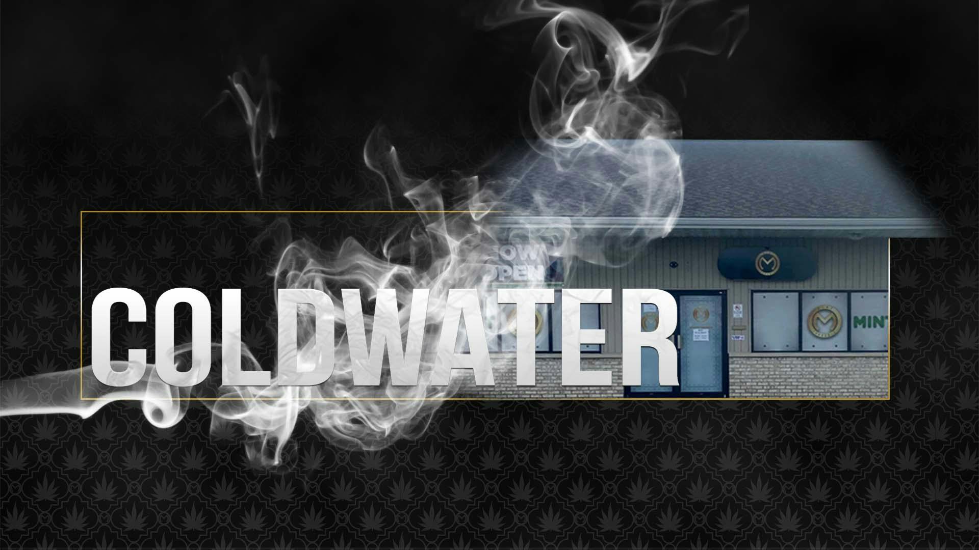 The Mint Cannabis Coldwater (Rec) Coldwater, MI Dispensary Leafly