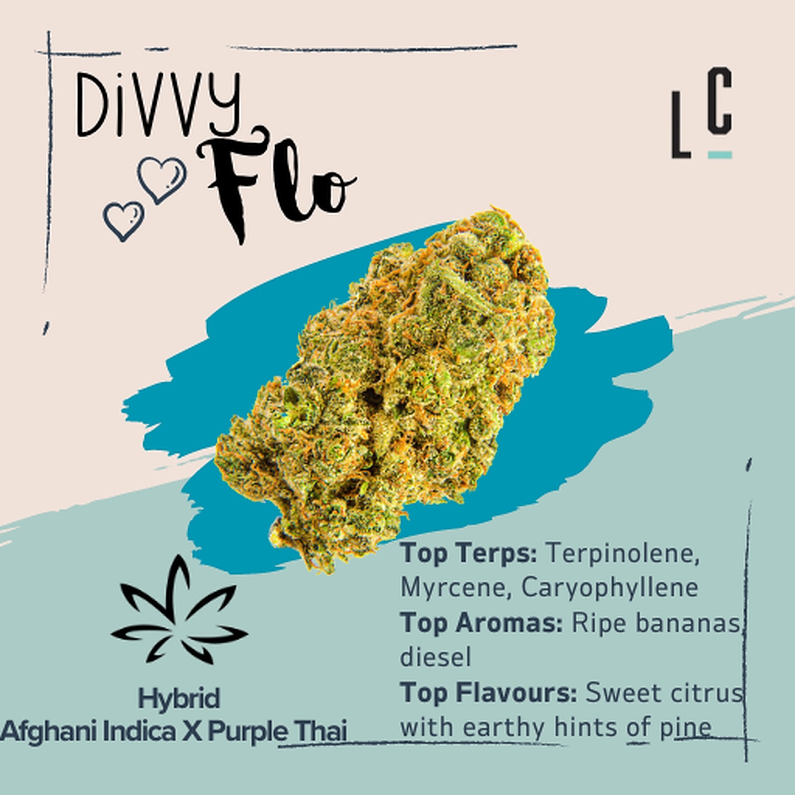 Levicann | Toronto, ON Dispensary | Leafly