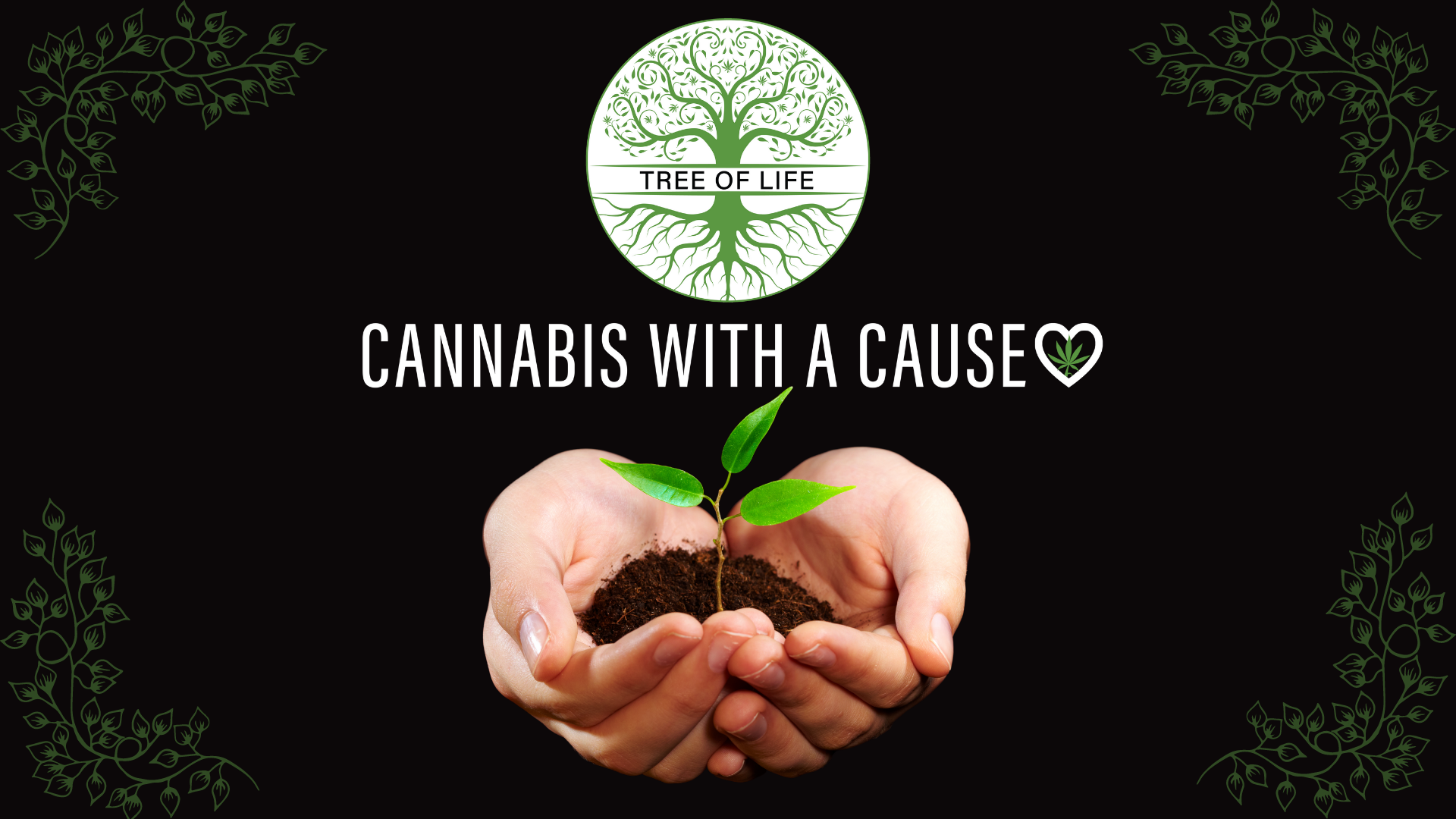 Tree of Life Weed Dispensary Las Vegas Dispensary Menu, Reviews & Photos