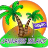 Cannabis Island Dispensary - 37