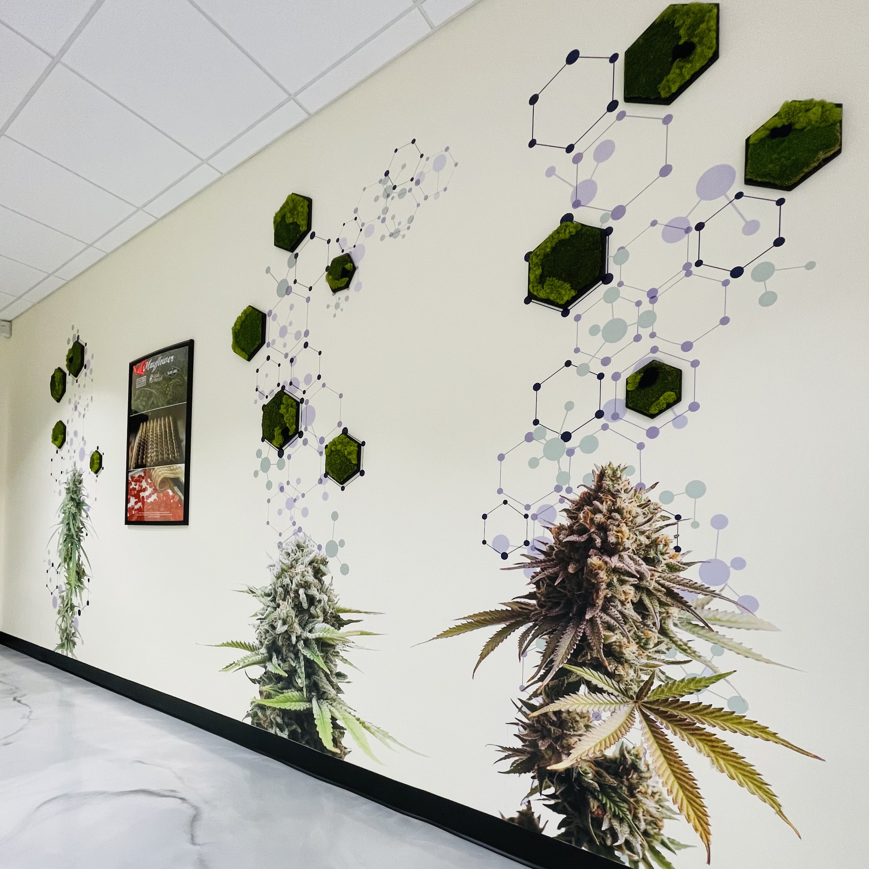 Mayflower Lowell Lowell, MA Dispensary Leafly