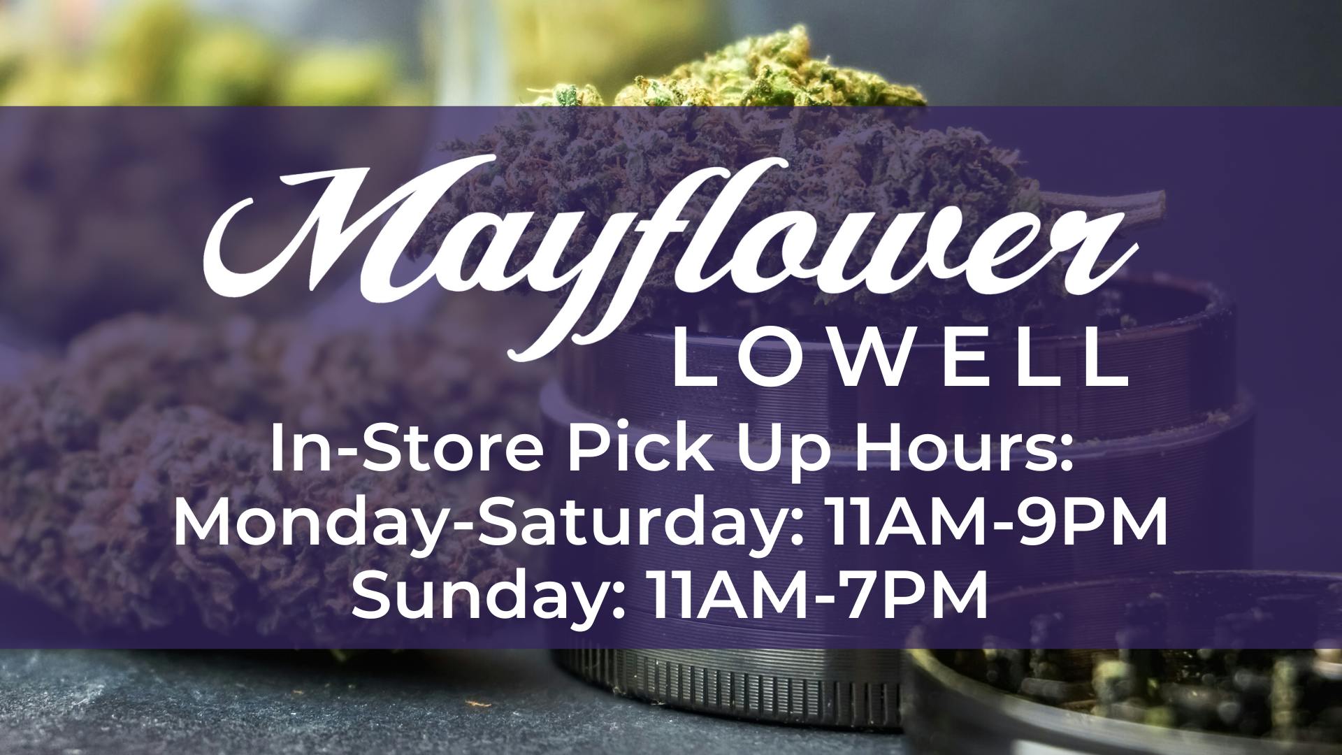 Mayflower Lowell Lowell MA Dispensary Leafly mayflower-lowell-lowell-ma-dispensary-leafly