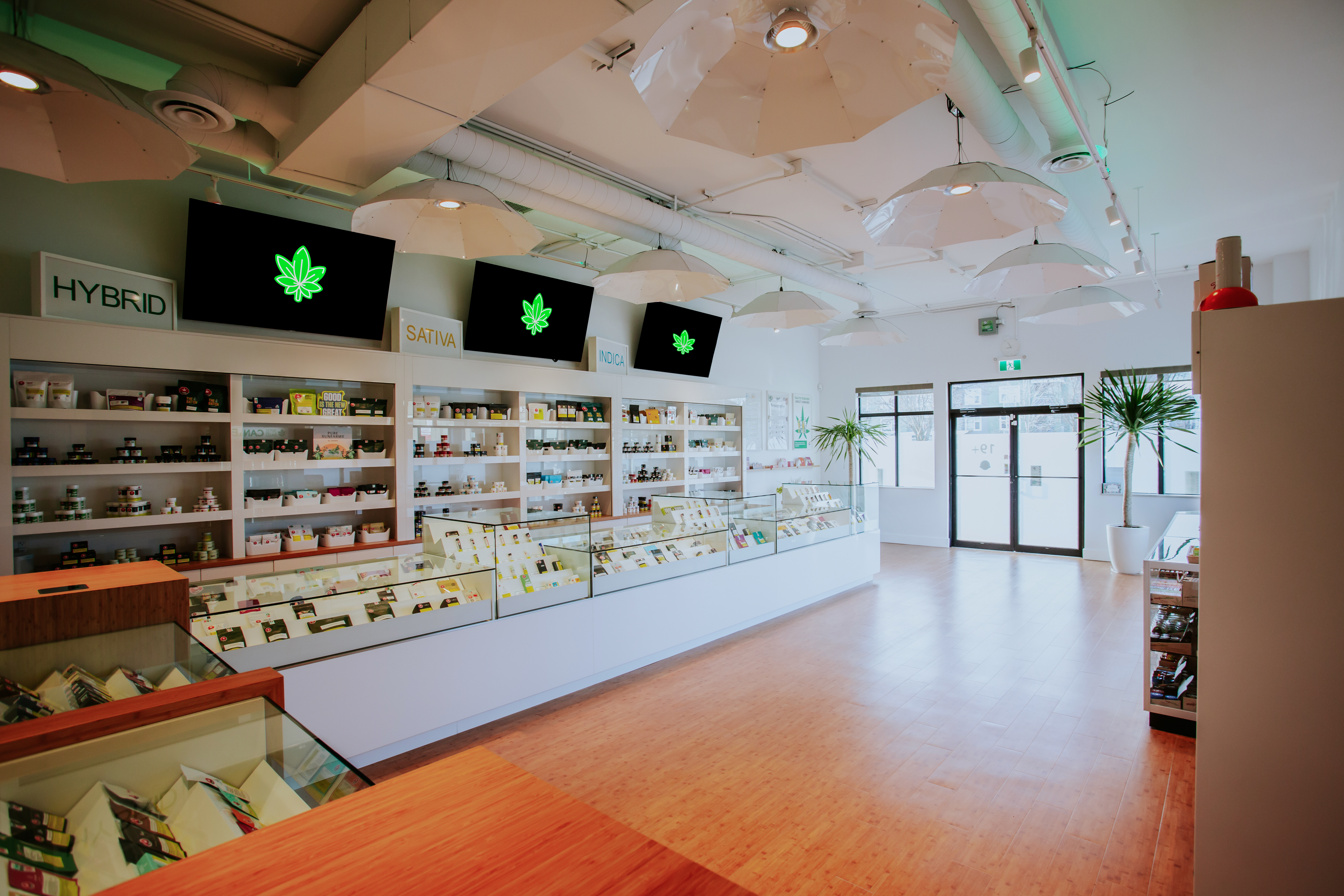 Cannabis Store Hi Cannabis - Kelowna - 2