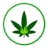 Greener Grass Cannabis logo