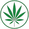 Tree Hills Cannabis