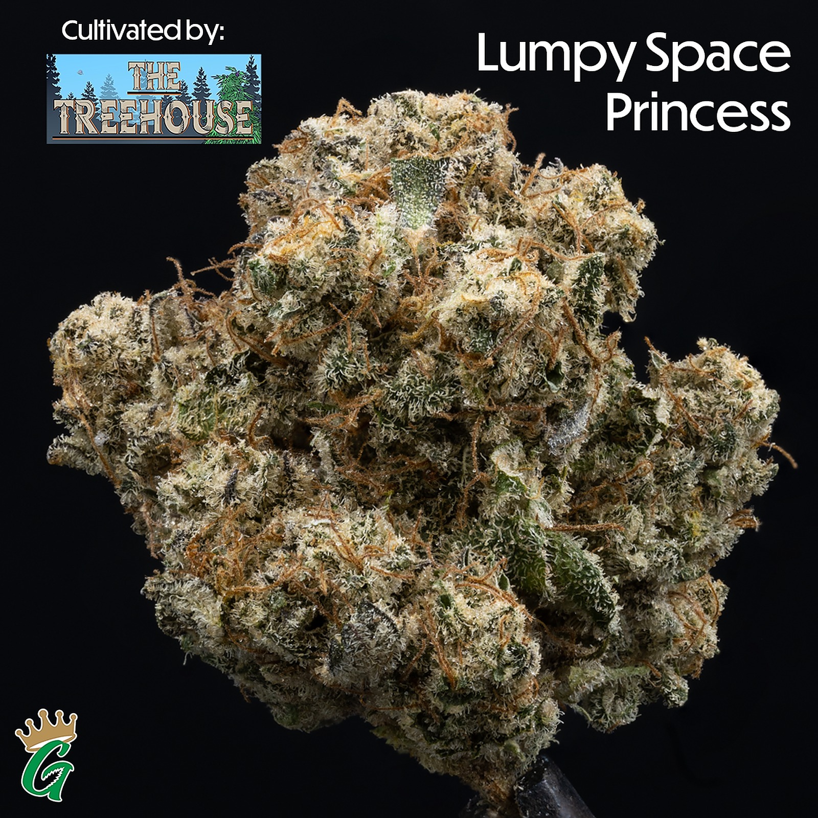 The Gas Station Gorham Gorham, ME Dispensary Leafly