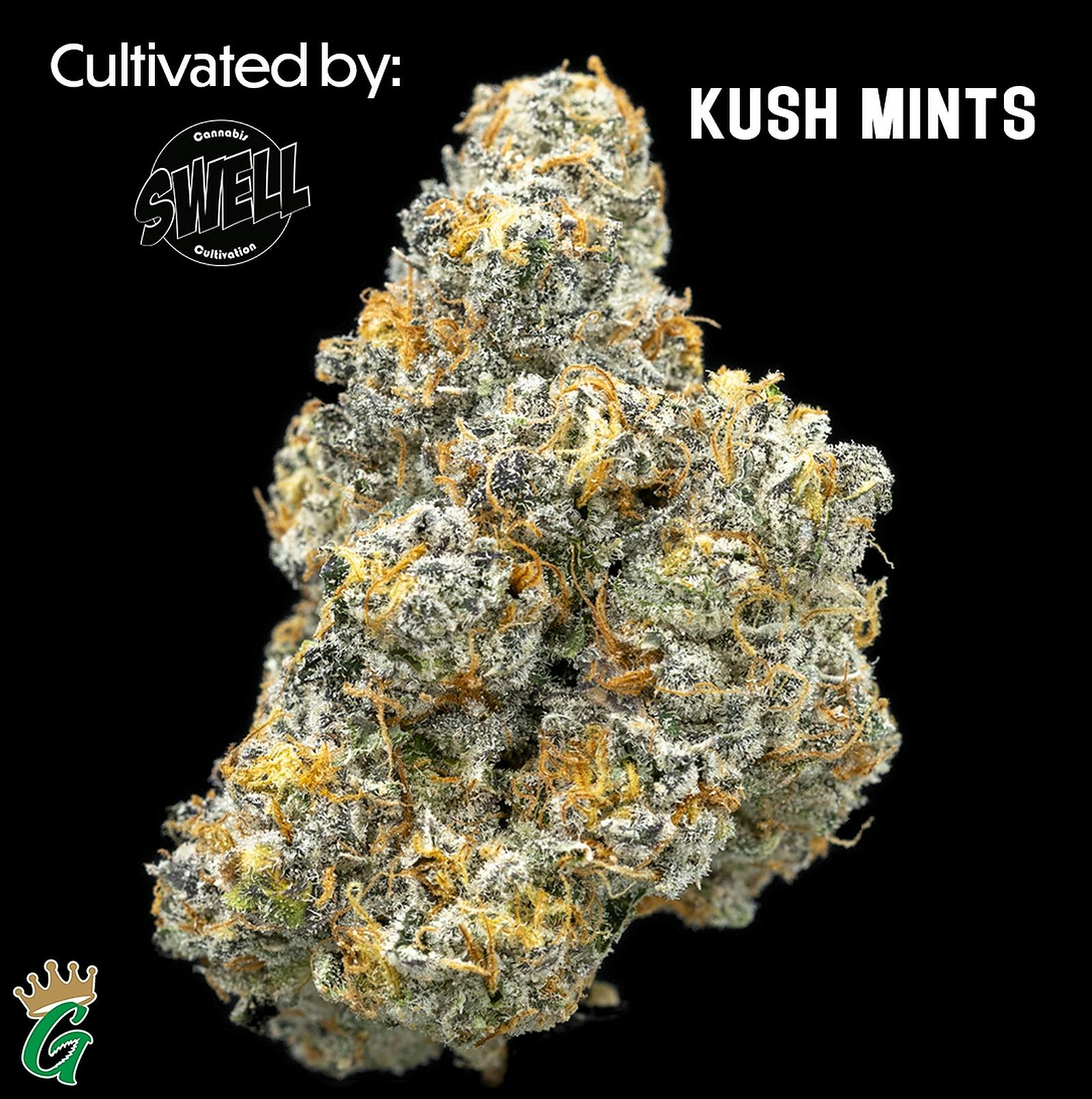 The Gas Station Gorham Gorham, ME Dispensary Leafly