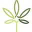Logo for The Med Card Company - Texas Telemedicine