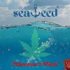 Seaweed SF