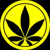 Gas Gas Medical