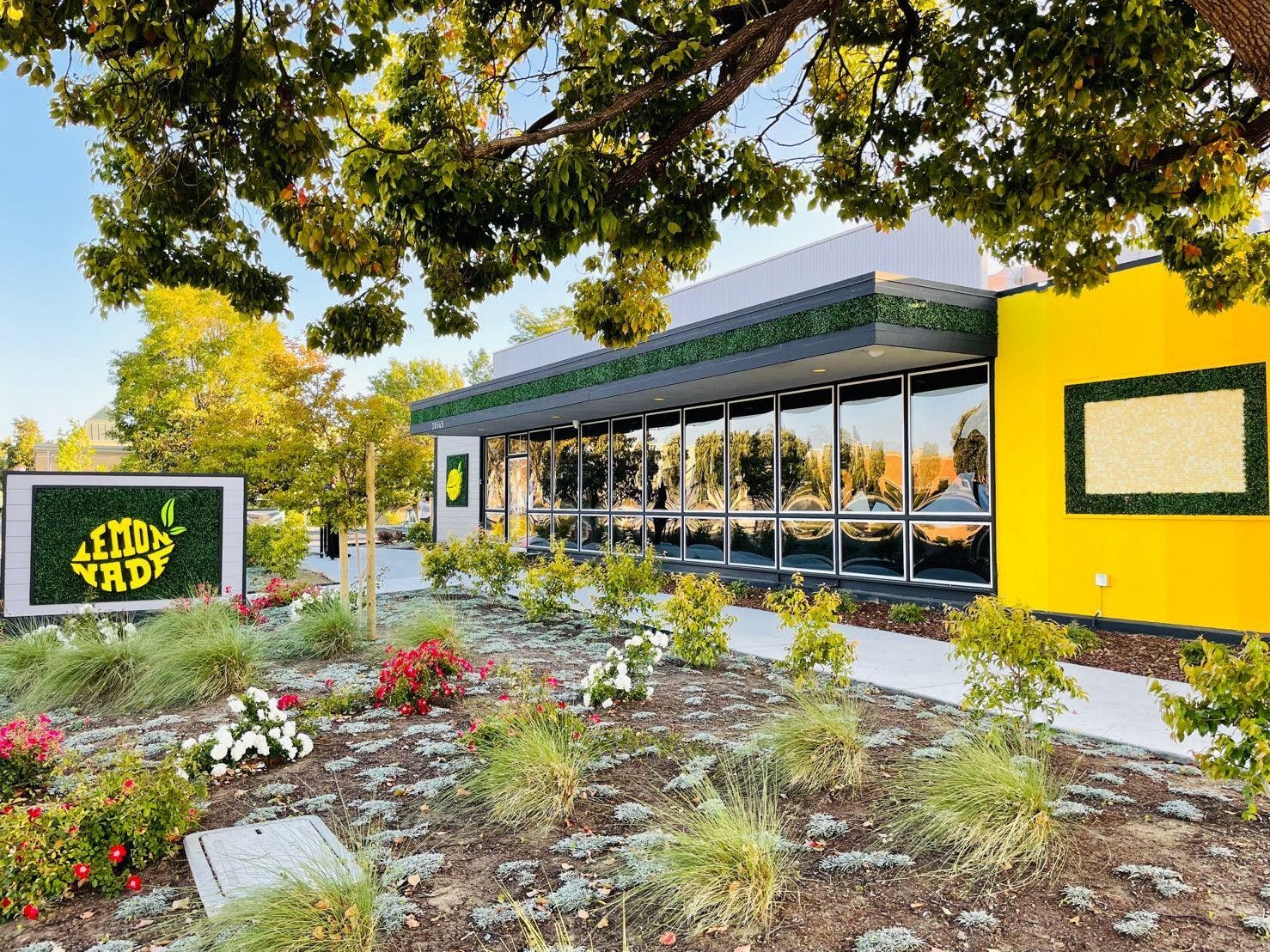 Lemonnade Union City Dispensary Menu, Reviews & Photos