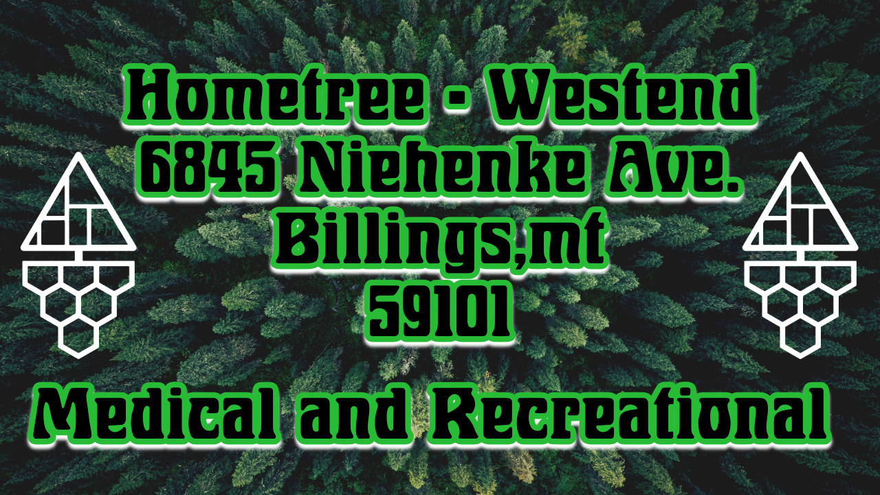 Hometree - Billings