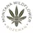 Montana Wildflower logo