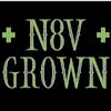 N8V Grown - Box Elder