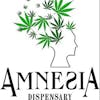 Amnesia Dispensary & Accessories (Med + Rec)