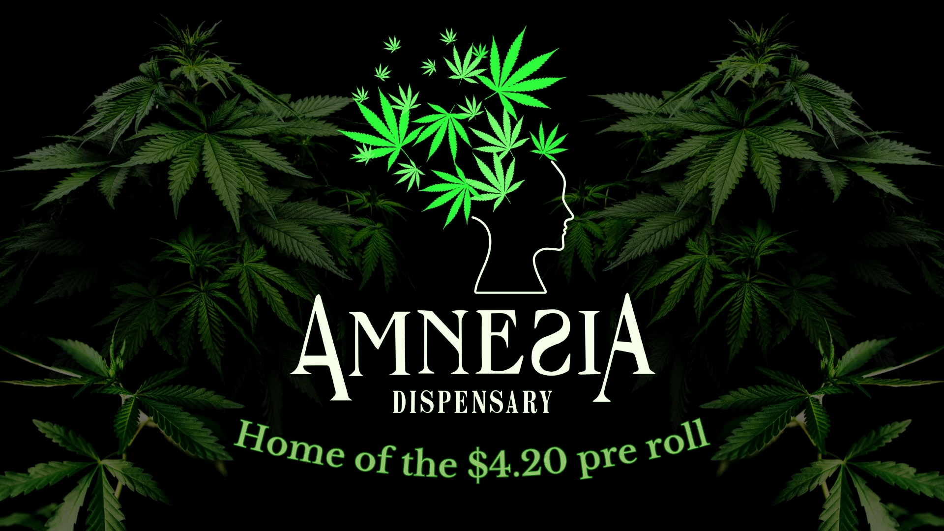 Amnesia Dispensary & Accessories (Med + Rec) Deals | Leafly