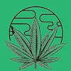 Pluto Cannabis