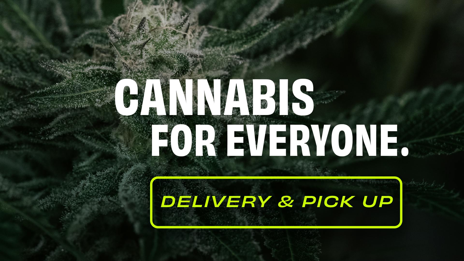 Best Rated Dispensaries in Massachusetts 2023 Leafly