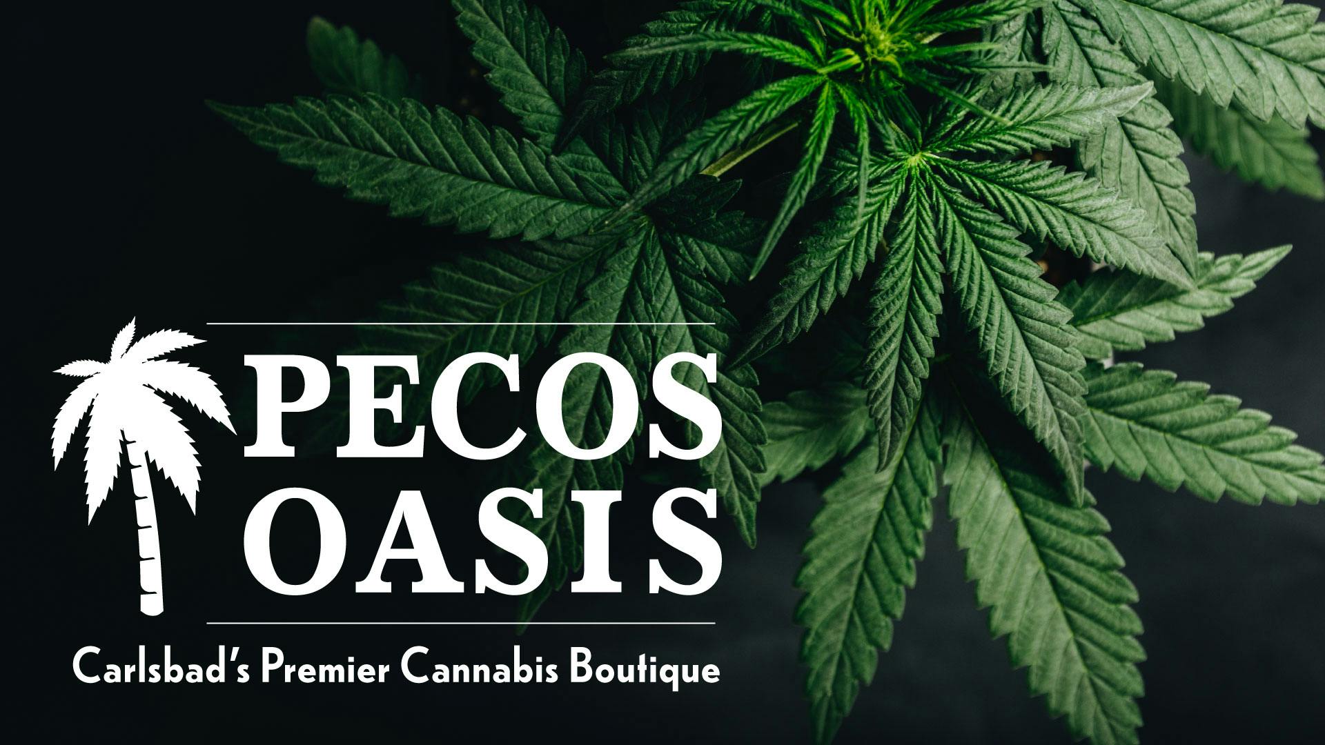 Pecos Oasis Carlsbad, NM Dispensary Leafly