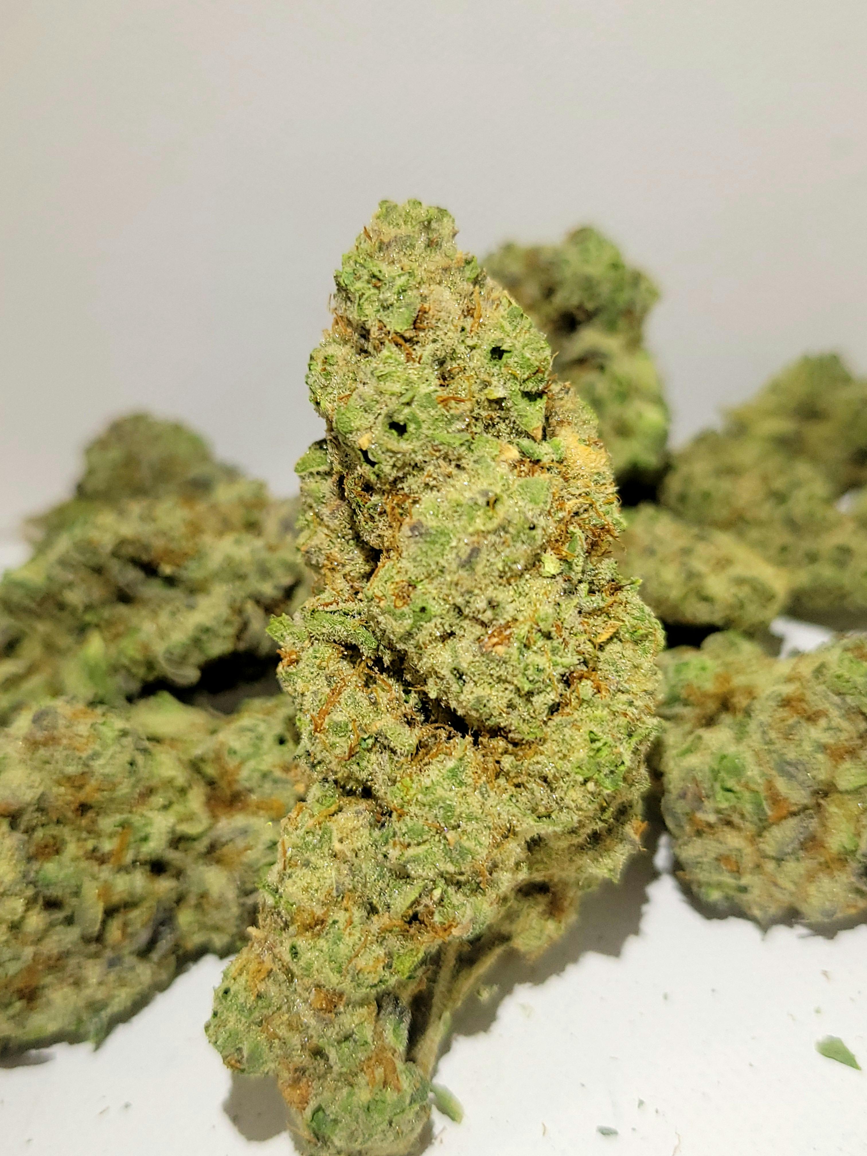 Savage Farms Belfast, ME Dispensary Leafly