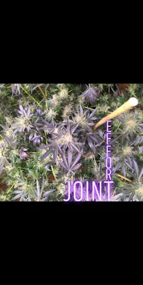 Joint Effort-cover-photo