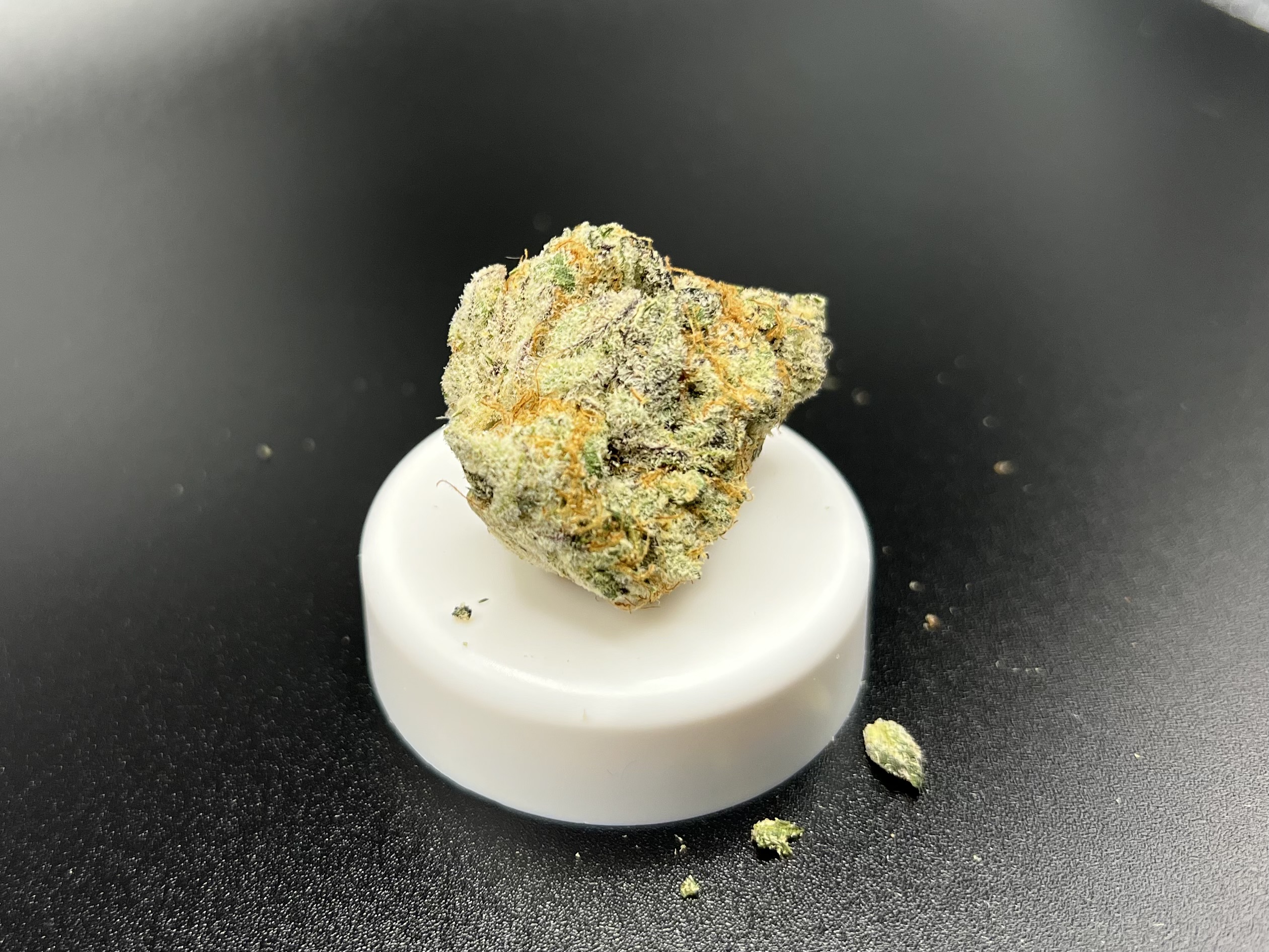 Top Notch Cannabis Delivery Waterville, ME Dispensary Leafly