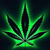 Omkara Cannabis - Centre St