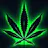 Omkara Cannabis - Centre St logo