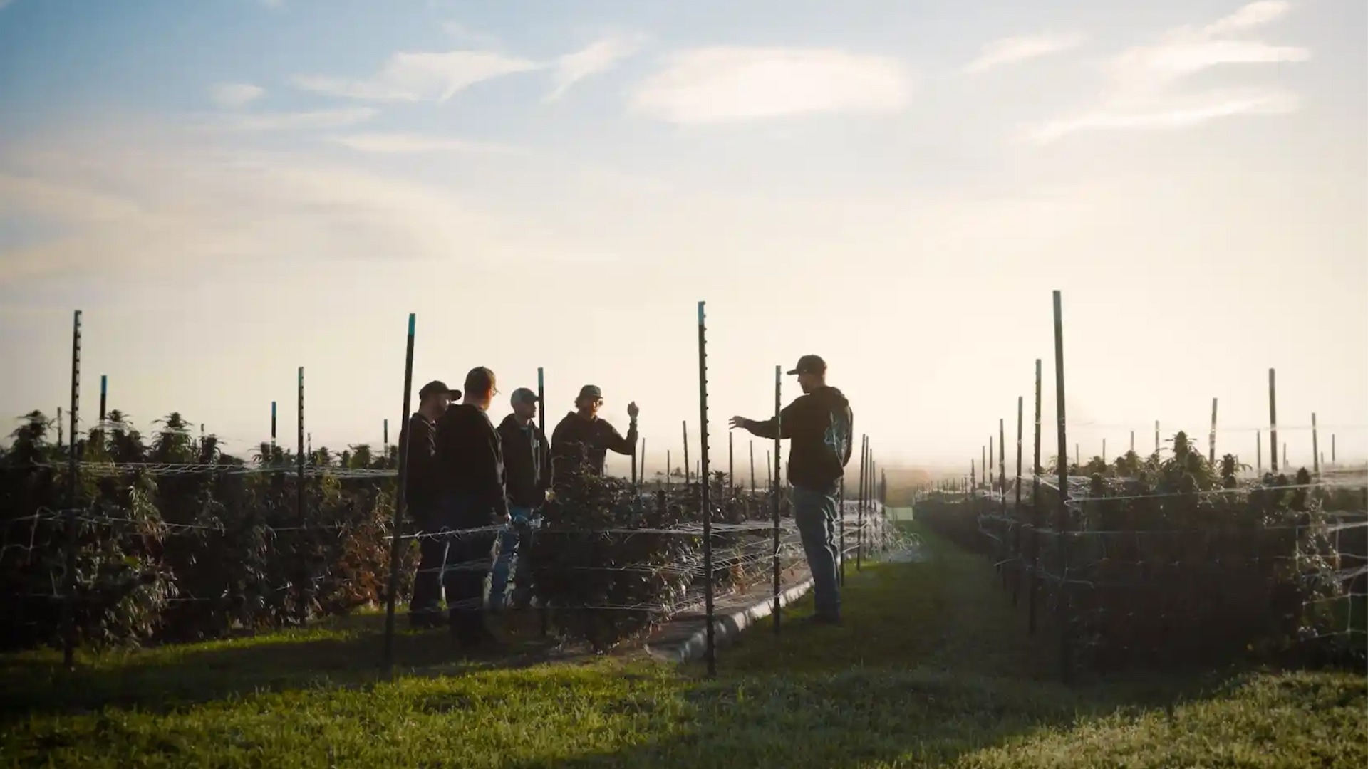 Nova Farms - Dracut