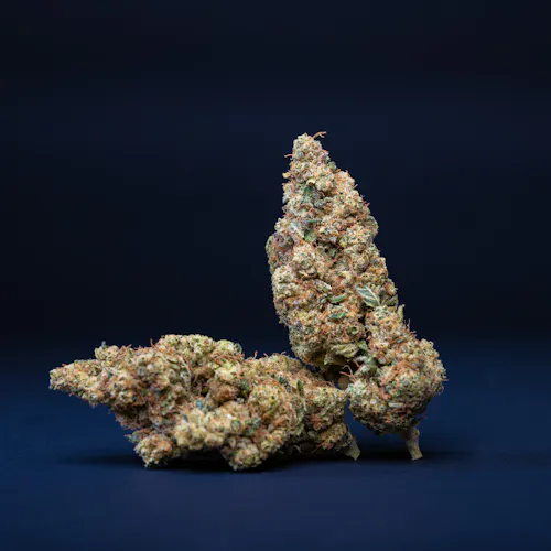 AYR Cannabis Dispensary Eatontown (Rec) Dispensary Menu, Reviews