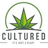 The Cultured Cannabis
